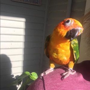 Meet your Posher, Emma